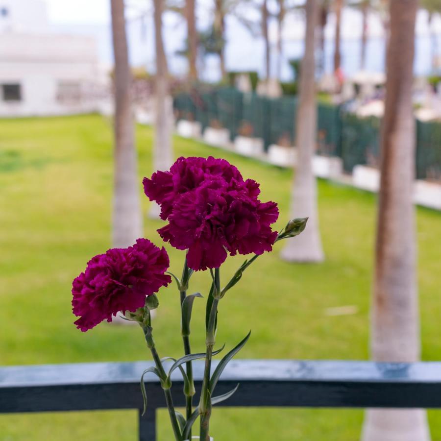 Studio Ocean Coast Los Cristianos Comodoro Eksteriør bilde